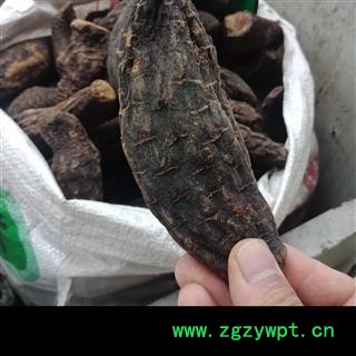 丽丽药业 肉苁蓉中药材批发新疆肉苁蓉个大芸中药材批发商保证实图拍照7天无理由退货退款图2