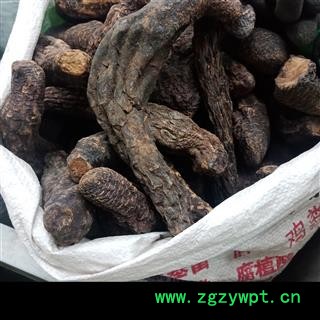 丽丽药业 肉苁蓉中药材批发新疆肉苁蓉个大芸中药材批发商保证实图拍照7天无理由退货退款图3