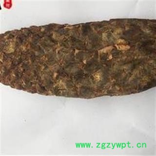 肉苁蓉个 好统货 纯干货不会发霉  产地 新疆维吾尔自治区图2