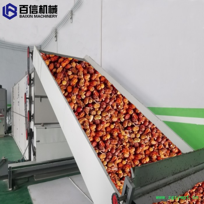 百信中药材烘干机   供应烘干机   网带式中药材烘干机  百信烘干机**图5