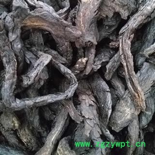 肉苁蓉  大云 大芸 统货 纯净货 产地 青海省图2