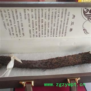 安祁名药优质肉野生苁蓉  精选软肉苁蓉