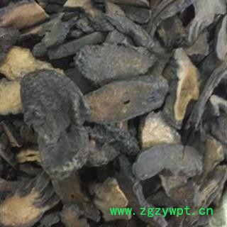 肉苁蓉 硬大芸选片3.0 产地 新疆维吾尔自治区图2