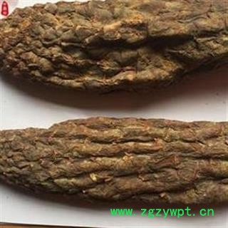 《满198包邮》肉苁蓉 好统货 纯干货 产地 新疆维吾尔自治区图2