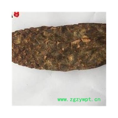 《满198包邮》肉苁蓉 好统货 纯干货 产地 新疆维吾尔自治区