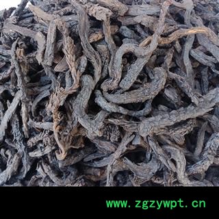 丽丽药业 肉苁蓉个子 中药材批发 大芸个正品保证实图拍照7天无理由退货退款图2