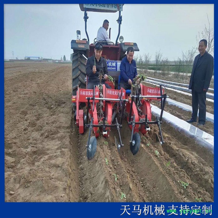 天马 中药材移栽机 丹参移栽机 现货出售图4