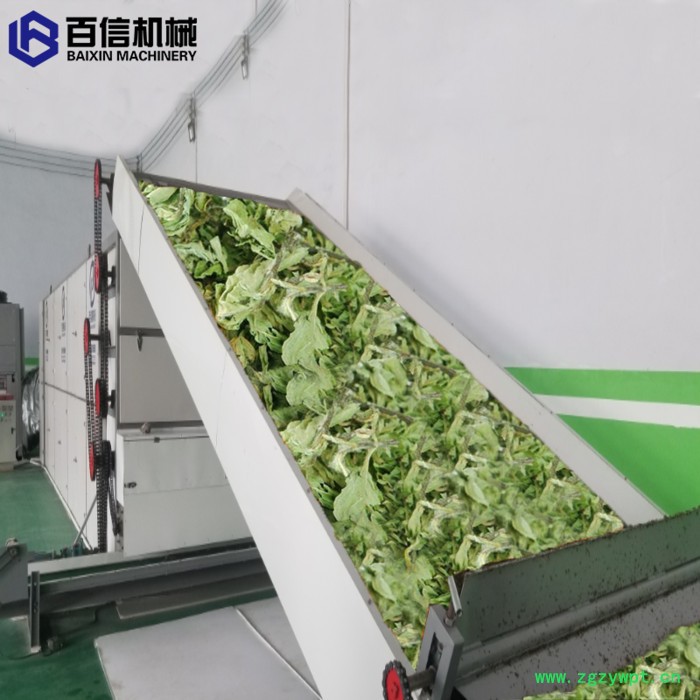 百信中药材烘干机 大型中药材烘干机 烘干机厂家价格 供应中药材烘干机 网带式中药材烘干机图3