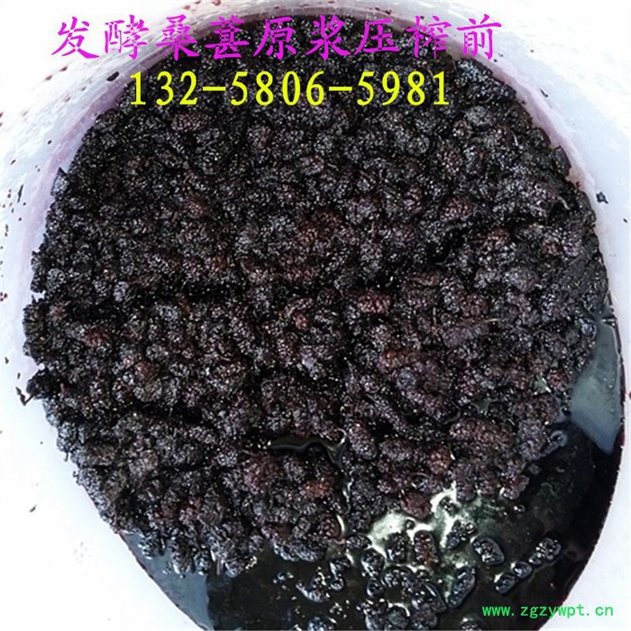 新鲜中药植物汁液提取设备  中药草本植物酵素压榨机  酵素压榨机图6