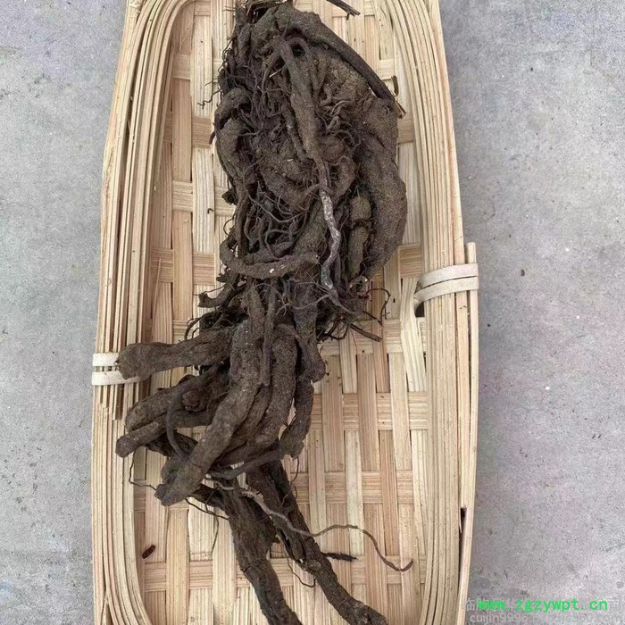 现货产地货源统货磨粉丹参中药 渣规格齐全无熏袋装丹参提取物渣 中药渣