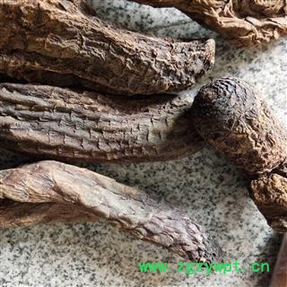 肉苁蓉 大云 大芸 硬质大云 产地 新疆维吾尔自治区图2