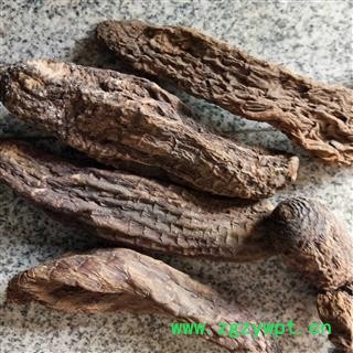 肉苁蓉 大云 大芸 硬质大云 产地 新疆维吾尔自治区图3