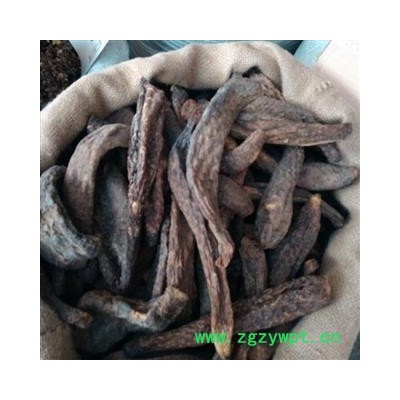 肉苁蓉 统装大云个 硬质肉苁蓉 产地 新疆维吾尔自治区