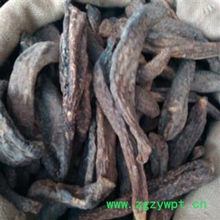 肉苁蓉 统装大云个 硬质肉苁蓉 产地 新疆维吾尔自治区图2