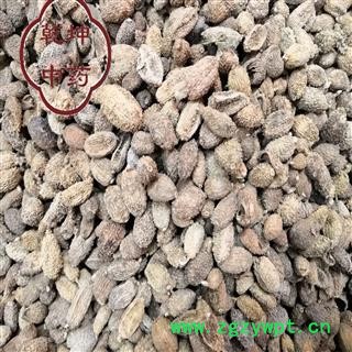 砂仁 云南砂仁 统货 产地 云南省【品种齐全 诚信经营】图3