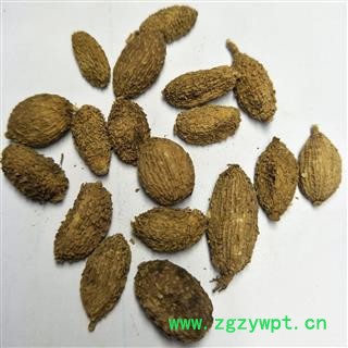 砂仁 新货便宜处理进口壳砂仁选货个头大饱满 产地 云南省图2