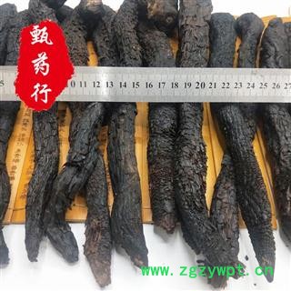 肉苁蓉 肉苁蓉特级选货（把子货） 一手货源批发 产地新疆 甄选药材行 甄药行图4