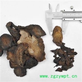 【满298元包邮】肉苁蓉 硬大芸统片    1公斤1袋图4