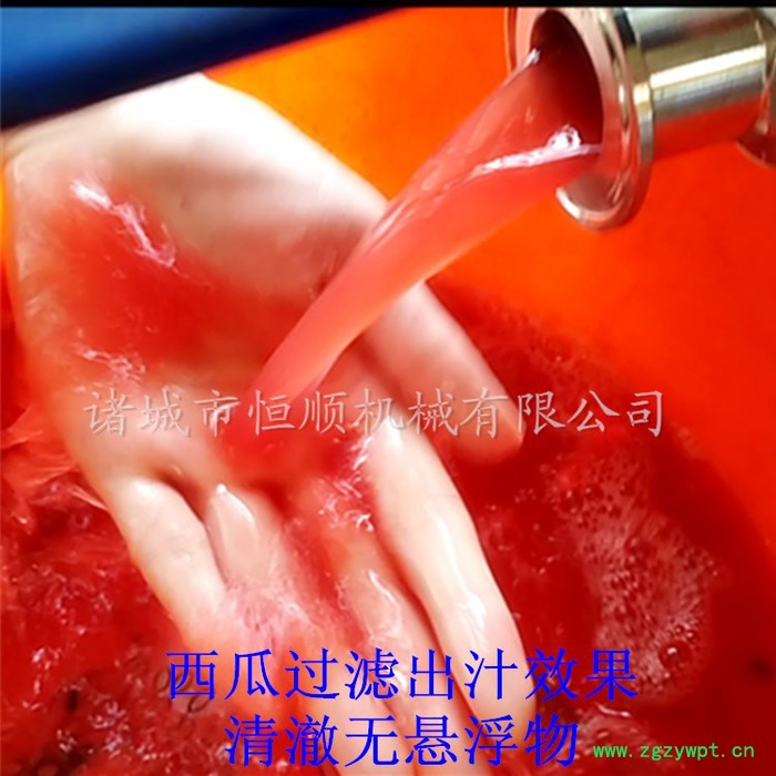 苹果果汁压榨机   杨梅发酵果酒压榨机  中药渣、中药汁提取压榨机图3