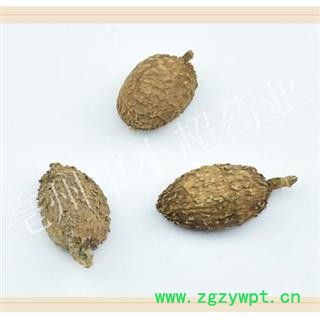 小超中药材超市 砂仁 02 砂仁长果 选 产地 海外图2