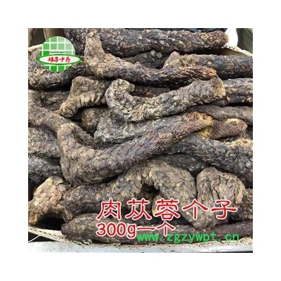 肉苁蓉 300g一根 精品货 产地 新疆维吾尔自治区 买好药找娟子