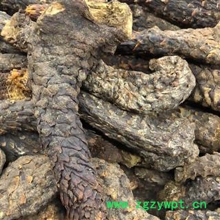 肉苁蓉 300g一根 精品货 产地 新疆维吾尔自治区 买好药找娟子图2