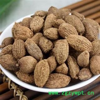 砂仁 阳春砂正品保证质量7天无理由退货退款 安品堂图4