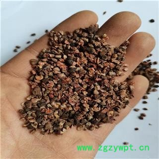 砂仁 碎米 产地 广西壮族自治区图3