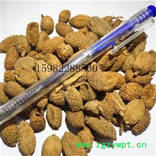 【满298元包邮】砂仁 壳砂仁晒干选货 产地 广东省云浮市市辖区图3