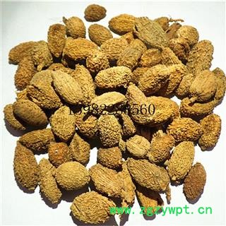 【满298元包邮】砂仁 壳砂仁晒干选货 产地 广东省云浮市市辖区图2