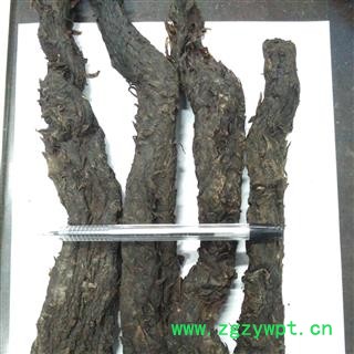 肉苁蓉 选个 产地 内蒙古自治区 华美中药 产地直销 重在品质图2