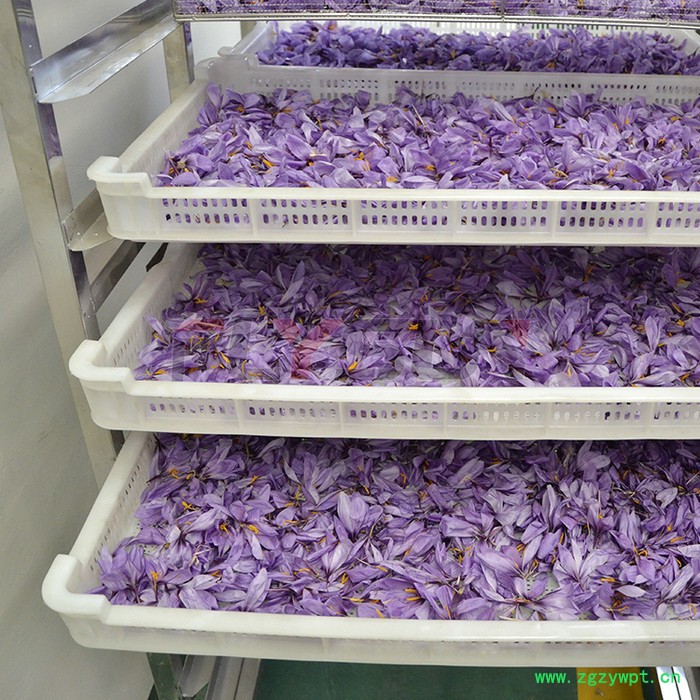 药材专用烘干机设备 药材烘干室 中药材烘干房 方信机械fx-47图2