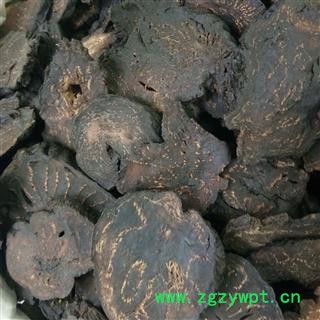 肉苁蓉 大云 大芸  软大云（手选大片）大芸 产地 新疆维吾尔自治区图2