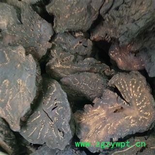 肉苁蓉 大云 大芸  软大云（手选大片）大芸 产地 新疆维吾尔自治区图4