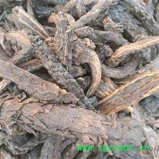 肉苁蓉 大云 咸大云 选货 产地 青海省图2