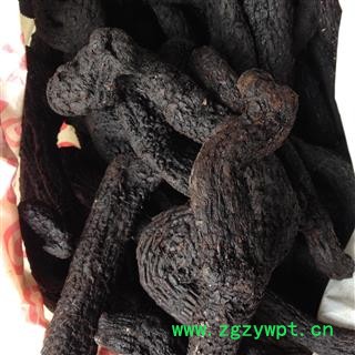 肉苁蓉 肉苁蓉个 大云 大芸 大云 软产地 内蒙古自治区图2