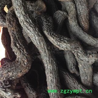 肉苁蓉 肉苁蓉个 大云 大芸 大云 软产地 内蒙古自治区图3