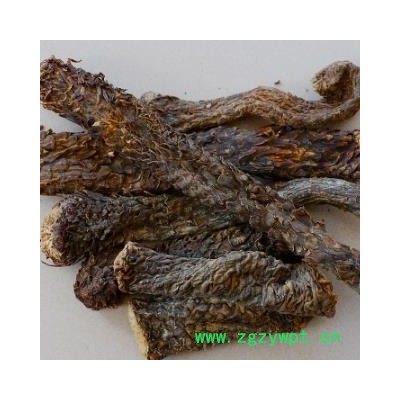 安祁名药 优质野生肉苁蓉