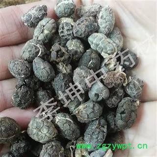 【99包邮】砂仁 米砂仁 优统 无碎米子 产地云南图2