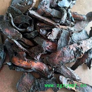 肉苁蓉 正品肉苁蓉 中选 产地 新疆维吾尔自治区图2