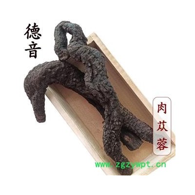 【满包邮】肉苁蓉 选 产地 新疆维吾尔自治区 买好货 选德音 正品溯源 规范标准 三证齐全 全品类药材一站购齐