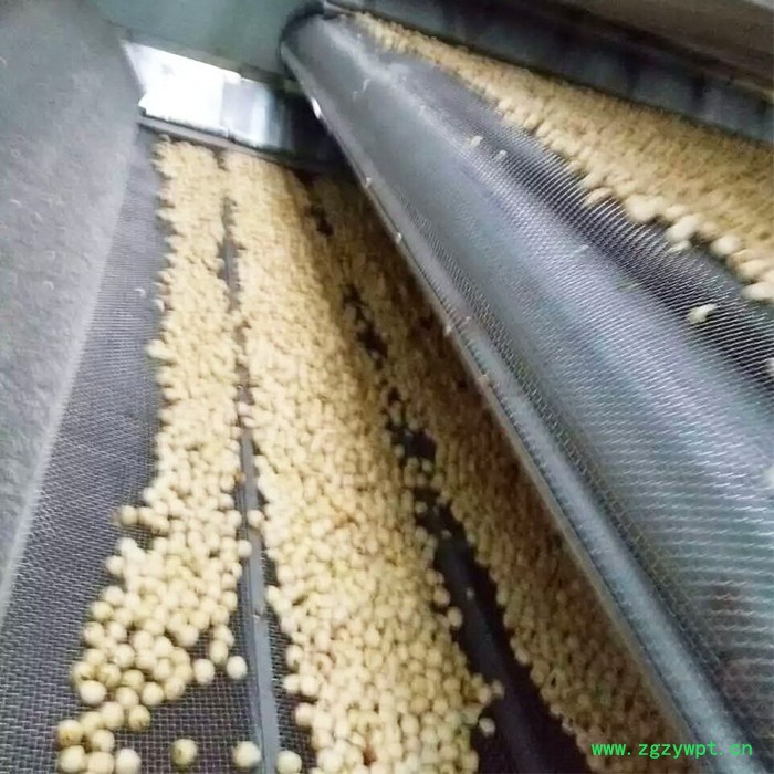 大型中药材连翘烘干机 多层连续式连翘干燥机 中药材烘干加工设备