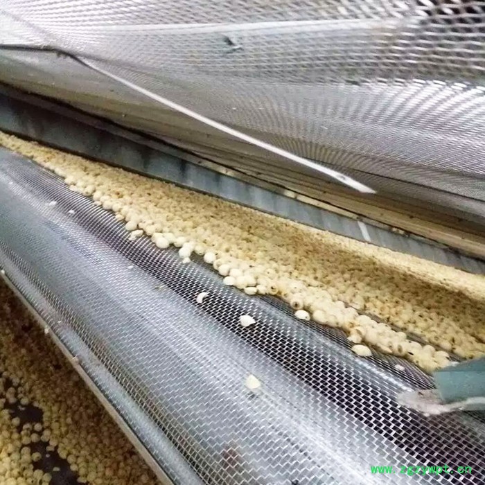 大型中药材连翘烘干机 多层连续式连翘干燥机 中药材烘干加工设备图4