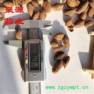 砂仁 砂仁  壳砂仁 产地直销 质优价低  产地 海外图4