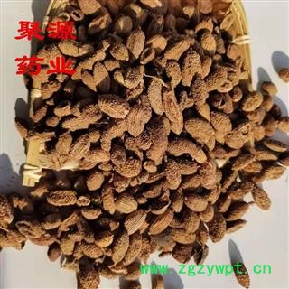 砂仁 砂仁  壳砂仁 产地直销 质优价低  产地 海外图3