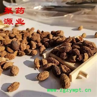 砂仁 砂仁  壳砂仁 产地直销 质优价低  产地 海外图2