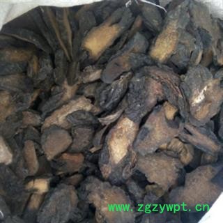 安祁名药肉苁蓉 大芸