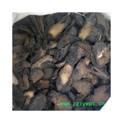 安祁名药肉苁蓉 大芸