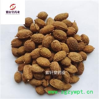 砂仁 进口圆果砂仁选货 产地海外 圆果饱满图3