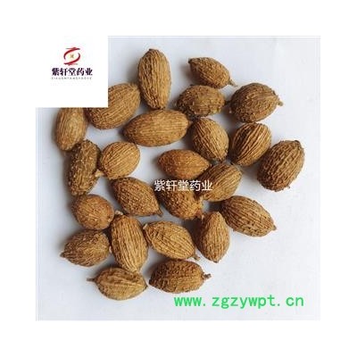 砂仁 进口圆果砂仁选货 产地海外 圆果饱满